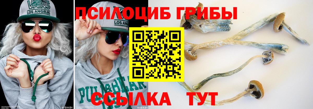 Галлюциногенные грибы Psilocybine cubensis  Вход с VPN  Урус-Мартан 